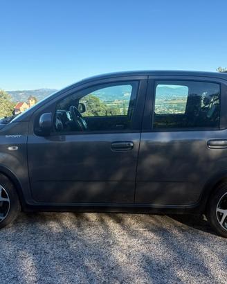 Panda hybrid sport