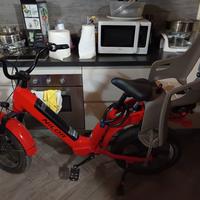 bici elettrica fatbike