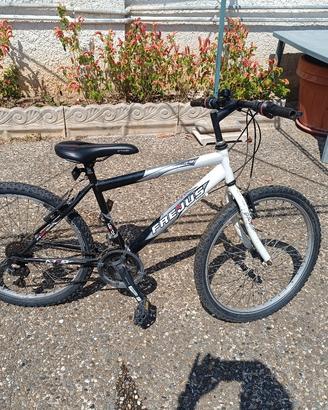 bici Mountain bike