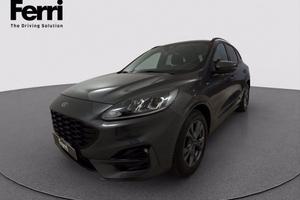 FORD Kuga 1.5 ecoblue ST-Line 2wd 120cv auto