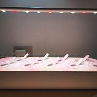 Click & Grow - Smart Garden 9 Serra Idroponica