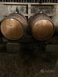 Botti Barrique 225 L rovere francese