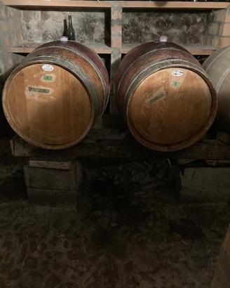 Botti Barrique 225 L rovere francese