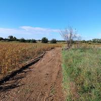 Terreno agricolo Talmassons