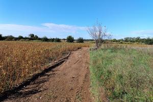 Terreno agricolo Talmassons