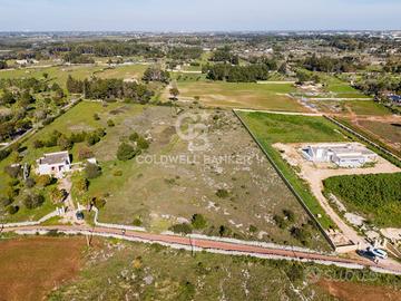 Terreno agricolo - Maglie