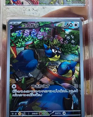 carte pokemon graad 10