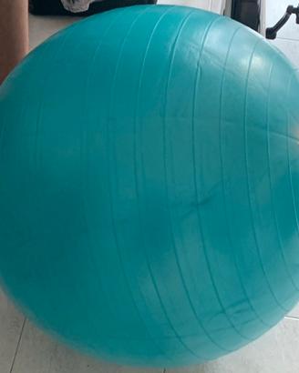 Palla per gravidanza Babygo