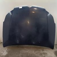 COFANO ANTERIORE CITROEN C5 Berlina 2° Serie 7901