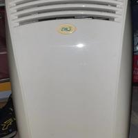 Condizionatore pinguino senza tubo