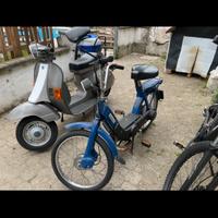 Vespa pk50xl