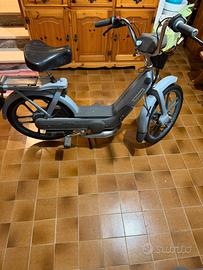 Ciao px