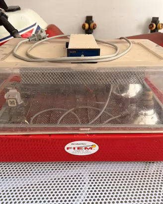 Incubatrice Fiem per avicoli