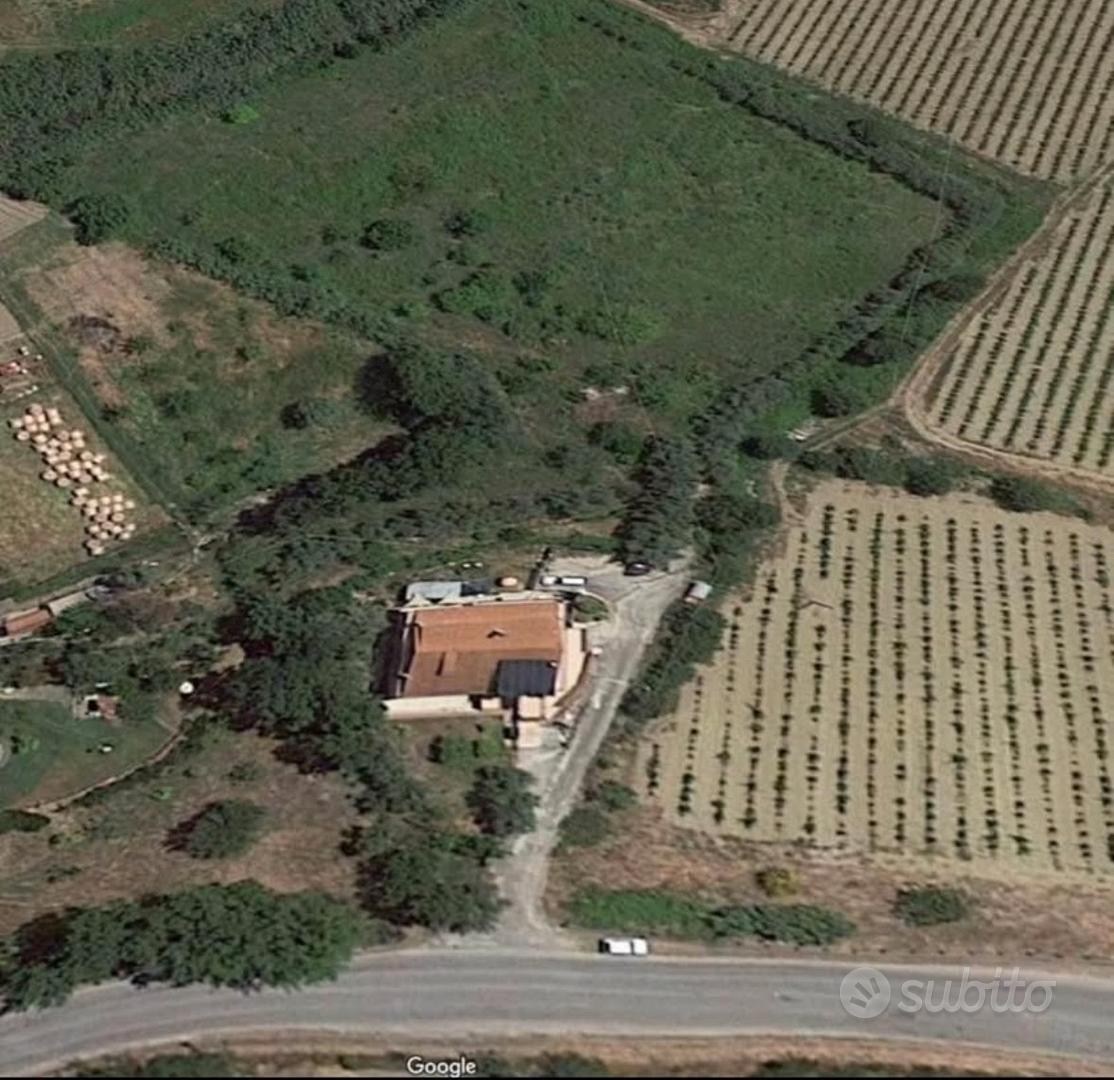 Terreno agricolo in Laureana Cilento - Vista 2