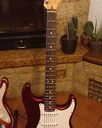 fender statocaster 2010 am