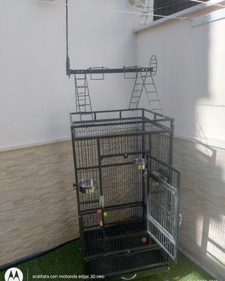 gabbia per pappagalli 