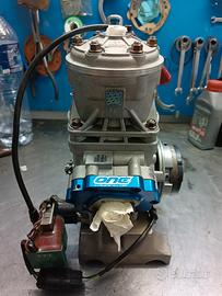 Motore vortex dvs  125  ok senior go kart 