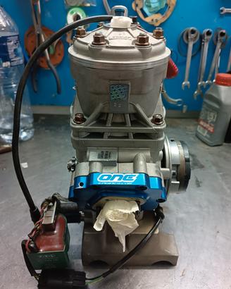 Motore vortex dvs  125  ok senior go kart 