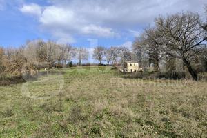 Rustico/Casale/Corte Gallese [Cod. rif 3232469VRG]