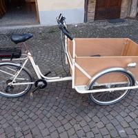 Cargobike assistita