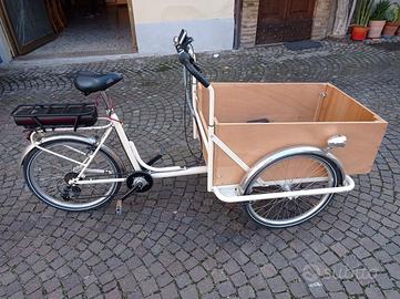 Cargobike assistita