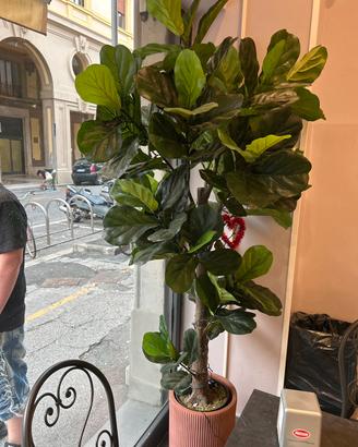 Stupende piante artificiali