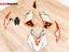 Immagine 13
