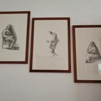 quadri disegni  a carboncino