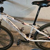 Mountain Bike Carraro 419 Taglia S