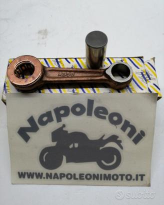 Rapido Vision biella