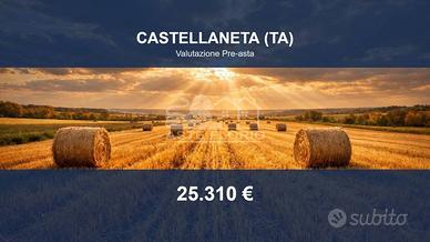 Immobile in asta di 47814 m² a Castellaneta