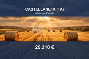 Immobile in asta di 47814 m² a Castellaneta