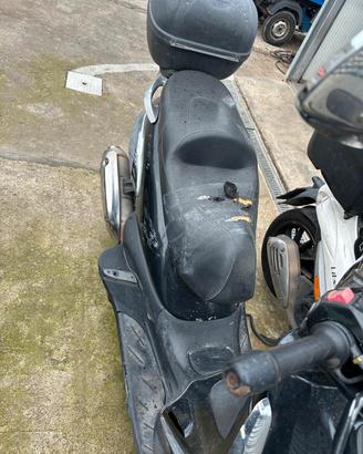 beverly 250  marciante 