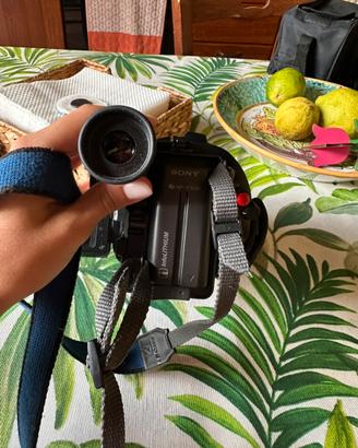 Videocamera sony