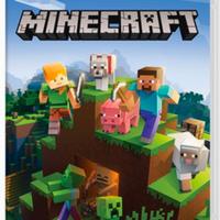 Minecraft Nintendo switch