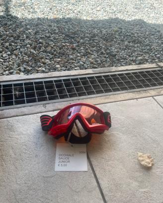 Occhiale da sci salice