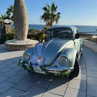 Maggiolino 1.2 Winter Bug edition