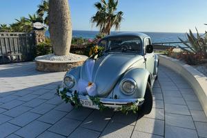 Maggiolino 1.2 Winter Bug edition