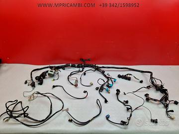 CABLAGGIO IMPIANTO TRIUMPH TIGER 955 2002 2006 955