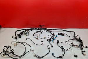 CABLAGGIO IMPIANTO TRIUMPH TIGER 955 2002 2006 955