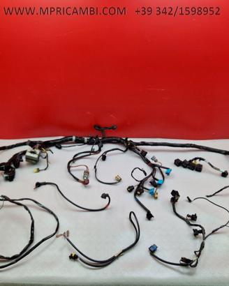 CABLAGGIO IMPIANTO TRIUMPH TIGER 955 2002 2006 955