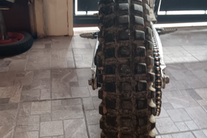 Trial Beta Techno 250