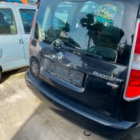 Skoda roomester