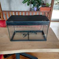 Acquario mtb 50 litri
