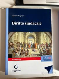 Manuale diritto sindacale, giurisprudenza