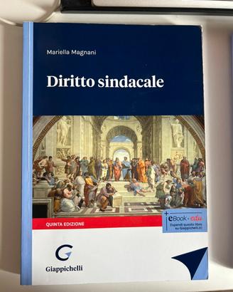 Manuale diritto sindacale, giurisprudenza