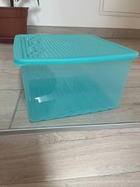 Contenitore tupperware
