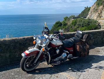 Harley Davidson Road King 1340 carburatore