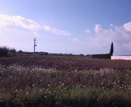 Terreno edificabile (zona T) Lido Fiori - Menfi