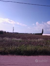 Terreno edificabile (zona T) Lido Fiori - Menfi